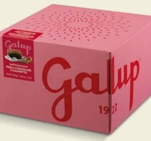 PANETTONE TRADIZIONALE PESCA, CIOCCOLATO E AMARETTO 750 G.