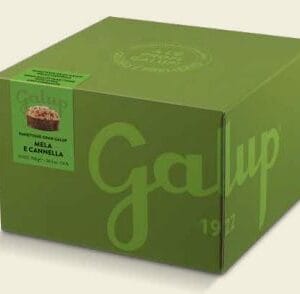 PANETTONE GRAN GALUP MELA E CANNELLA 750 G.