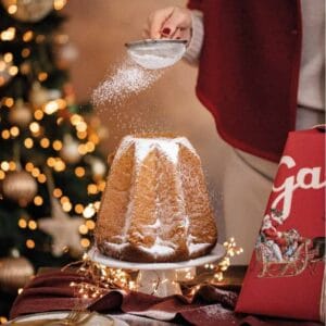 PANDORO SACCHETTO CEL. 750 G.