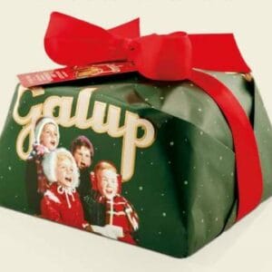 PANETTONE CON GOCCE DI CIOCCOLATO FONDENTE, FARCITO CON CREMA AL PISTACCHIO 900 G.