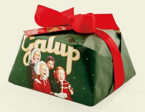 PANETTONE CON GOCCE DI CIOCCOLATO FONDENTE, FARCITO CON CREMA AL PISTACCHIO 900 G.