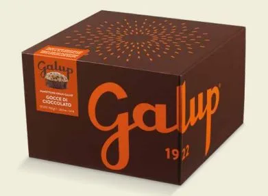 PANETTONE GRAN GALUP GOCCE DI CIOCCOLATO 750 G.